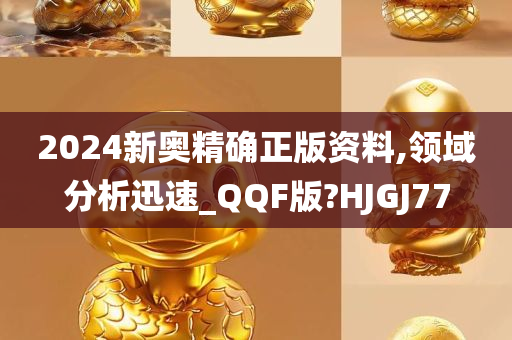 2024新奥精确正版资料,领域分析迅速_QQF版?HJGJ77