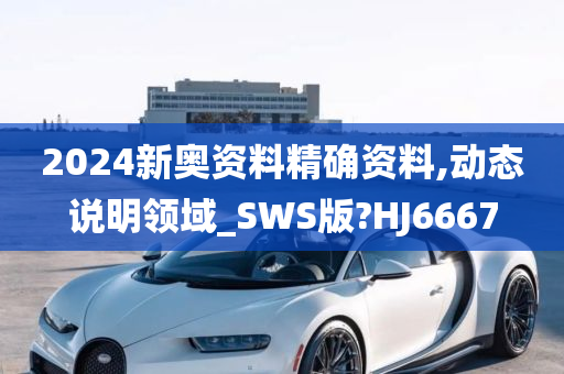 2024新奥资料精确资料,动态说明领域_SWS版?HJ6667