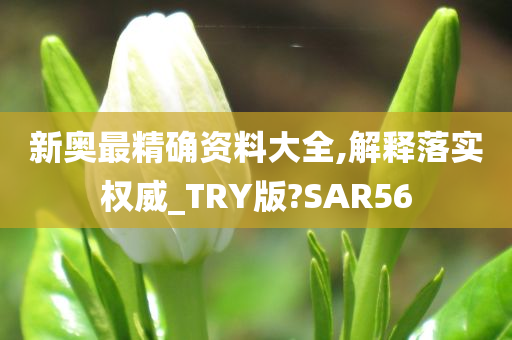 新奥最精确资料大全,解释落实权威_TRY版?SAR56