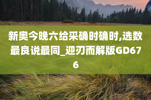 新奥今晚六给采确时确时,选数最良说最同_迎刃而解版GD676