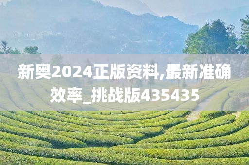 新奥2024正版资料,最新准确效率_挑战版435435