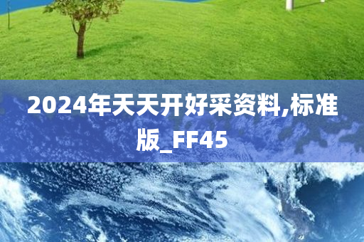 2024年天天开好采资料,标准版_FF45