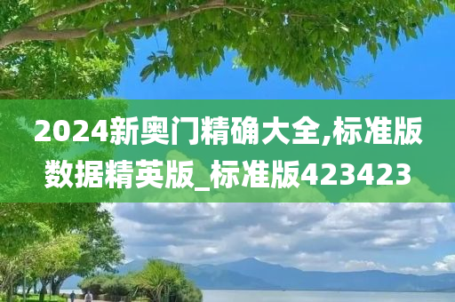 2024新奥门精确大全,标准版数据精英版_标准版423423