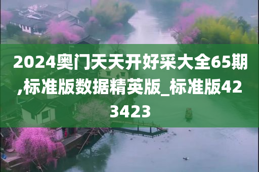 2024奥门天天开好采大全65期,标准版数据精英版_标准版423423