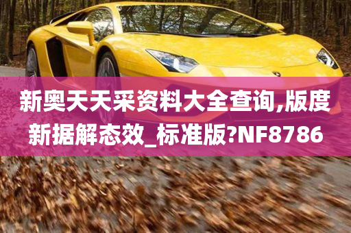 新奥天天采资料大全查询,版度新据解态效_标准版?NF8786