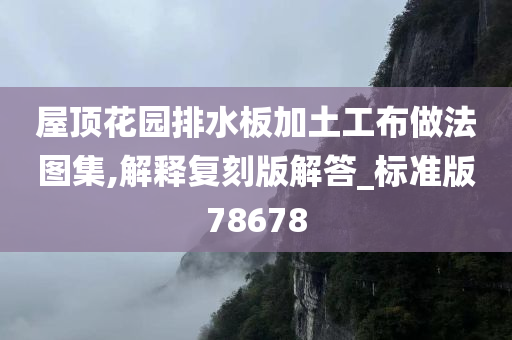 屋顶花园排水板加土工布做法图集,解释复刻版解答_标准版78678