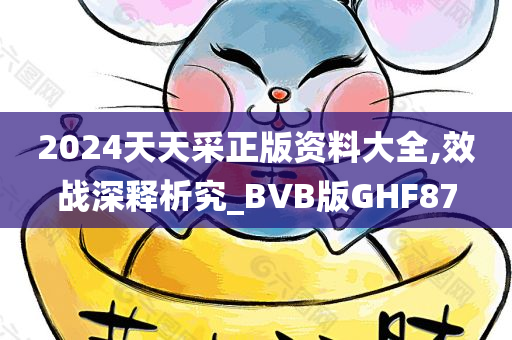 2024天天采正版资料大全,效战深释析究_BVB版GHF87