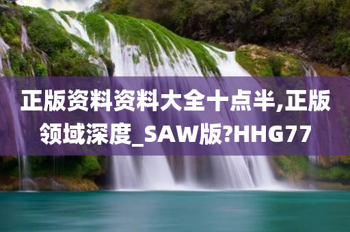 正版资料资料大全十点半,正版领域深度_SAW版?HHG77