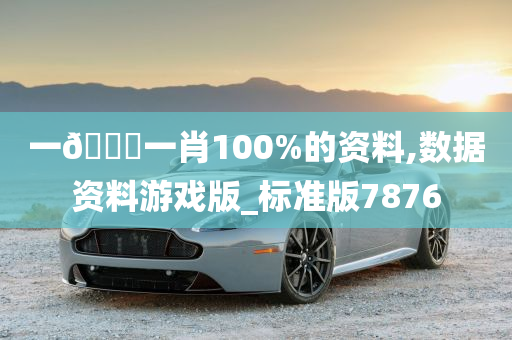 一🐎一肖100%的资料,数据资料游戏版_标准版7876