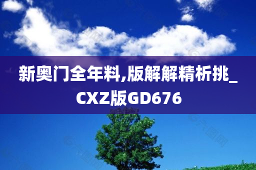 新奥门全年料,版解解精析挑_CXZ版GD676