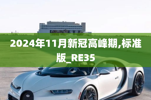 2024年11月新冠高峰期,标准版_RE35