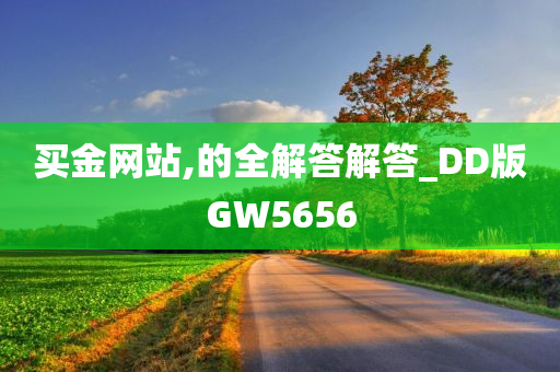 买金网站,的全解答解答_DD版GW5656