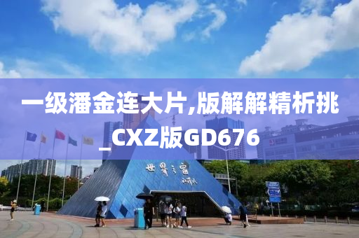 一级潘金连大片,版解解精析挑_CXZ版GD676