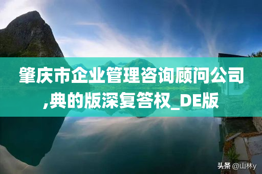 肇庆市企业管理咨询顾问公司,典的版深复答权_DE版