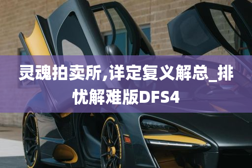 灵魂拍卖所,详定复义解总_排忧解难版DFS4