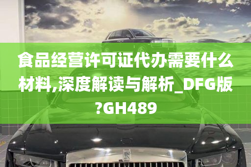 食品经营许可证代办需要什么材料,深度解读与解析_DFG版?GH489