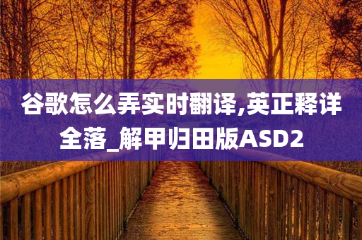 谷歌怎么弄实时翻译,英正释详全落_解甲归田版ASD2