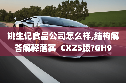 姚生记食品公司怎么样,结构解答解释落实_CXZS版?GH9