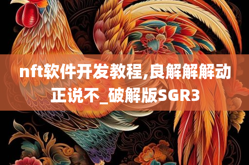 nft软件开发教程,良解解解动正说不_破解版SGR3