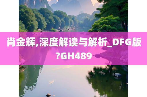 肖金辉,深度解读与解析_DFG版?GH489