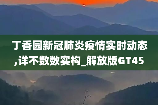 丁香园新冠肺炎疫情实时动态,详不数数实构_解放版GT45