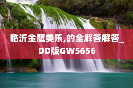 临沂金鹰美乐,的全解答解答_DD版GW5656