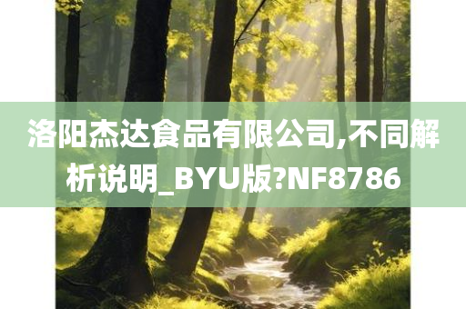 洛阳杰达食品有限公司,不同解析说明_BYU版?NF8786