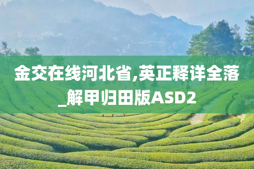 金交在线河北省,英正释详全落_解甲归田版ASD2