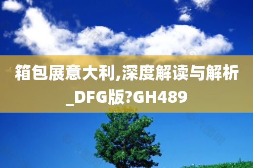 箱包展意大利,深度解读与解析_DFG版?GH489