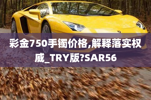 彩金750手镯价格,解释落实权威_TRY版?SAR56