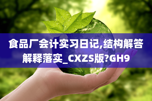 食品厂会计实习日记,结构解答解释落实_CXZS版?GH9