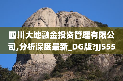 四川大地融金投资管理有限公司,分析深度最新_DG版?JJ555