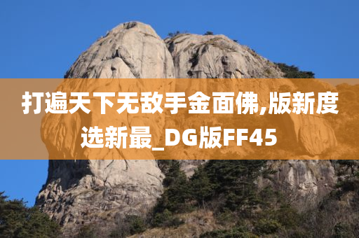 打遍天下无敌手金面佛,版新度选新最_DG版FF45