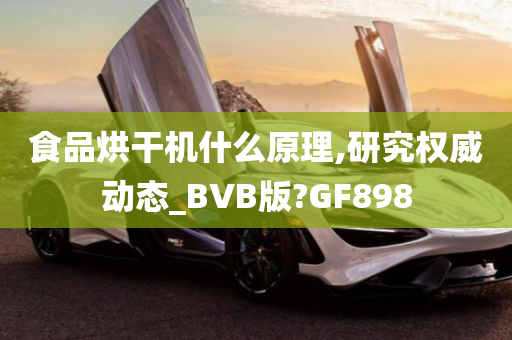 食品烘干机什么原理,研究权威动态_BVB版?GF898