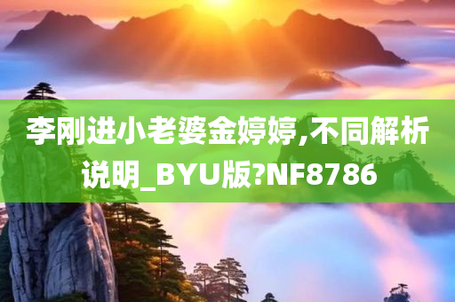 李刚进小老婆金婷婷,不同解析说明_BYU版?NF8786