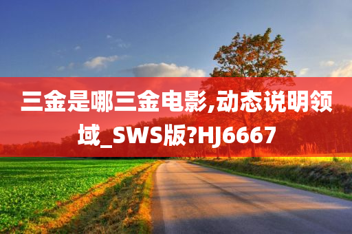 三金是哪三金电影,动态说明领域_SWS版?HJ6667