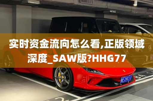 实时资金流向怎么看,正版领域深度_SAW版?HHG77