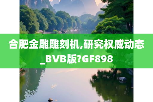 合肥金雕雕刻机,研究权威动态_BVB版?GF898