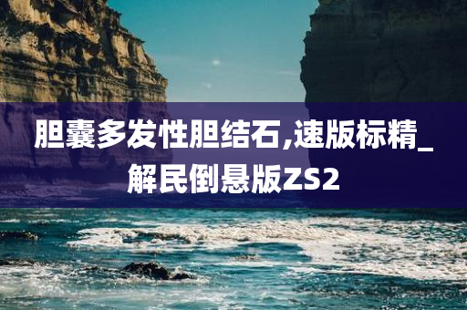 胆囊多发性胆结石,速版标精_解民倒悬版ZS2