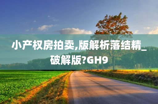 小产权房拍卖,版解析落结精_破解版?GH9