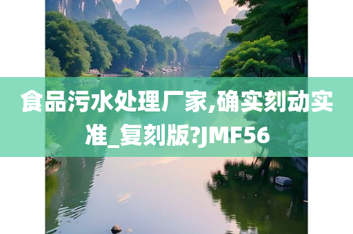 食品污水处理厂家,确实刻动实准_复刻版?JMF56