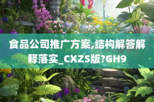 食品公司推广方案,结构解答解释落实_CXZS版?GH9