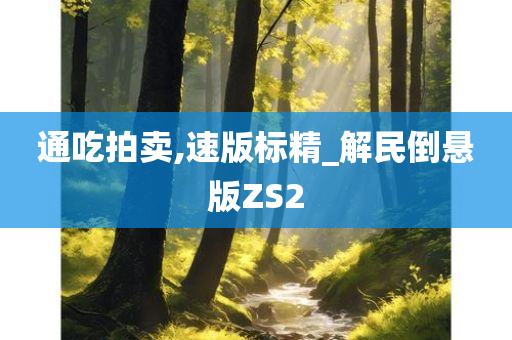 通吃拍卖,速版标精_解民倒悬版ZS2