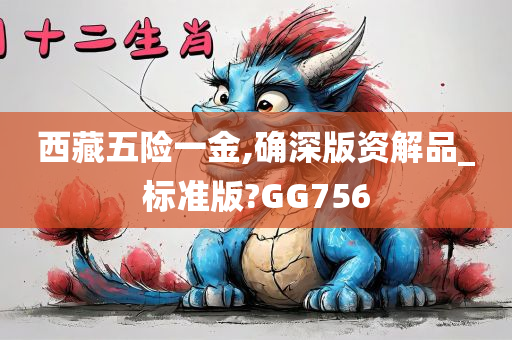 西藏五险一金,确深版资解品_标准版?GG756