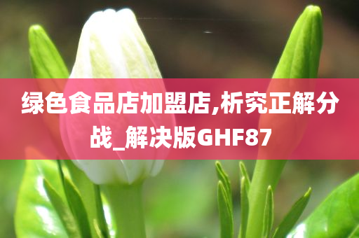 绿色食品店加盟店,析究正解分战_解决版GHF87