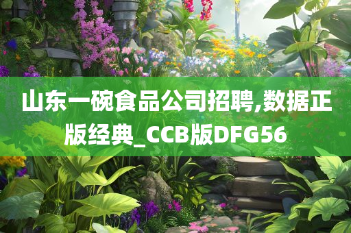 山东一碗食品公司招聘,数据正版经典_CCB版DFG56