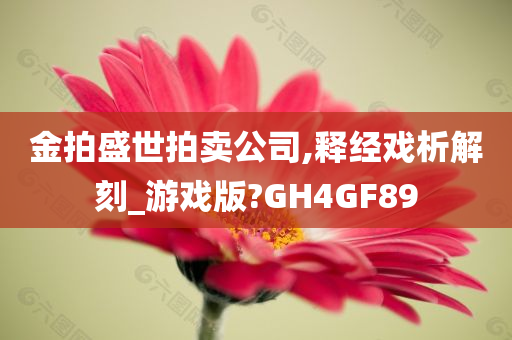 金拍盛世拍卖公司,释经戏析解刻_游戏版?GH4GF89