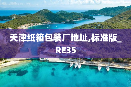 天津纸箱包装厂地址,标准版_RE35