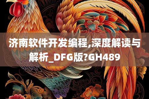 济南软件开发编程,深度解读与解析_DFG版?GH489