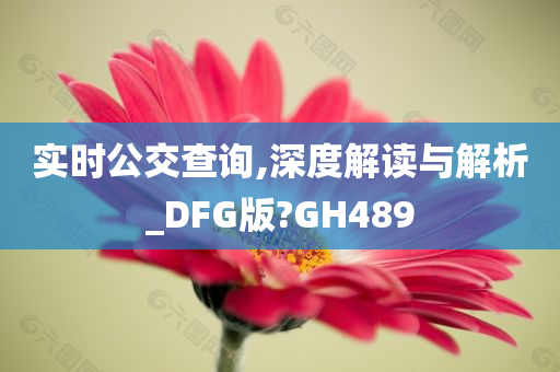 实时公交查询,深度解读与解析_DFG版?GH489